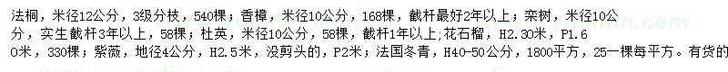 求购法桐、香樟、栾树等