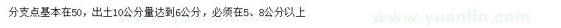 求购10公分处量6公分西府海棠