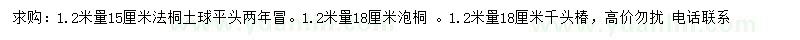 求购法桐、泡桐、千头椿