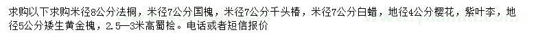 求购法桐、国槐、千头椿等