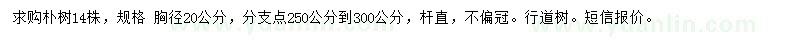 求购胸径20公分朴树