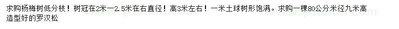 求购高3米杨梅树、米径80公分罗汉松