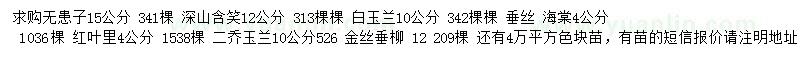 求购无患子、深山含笑、白玉兰等