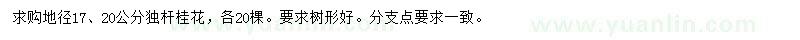 求购地径17、20公分独杆桂花
