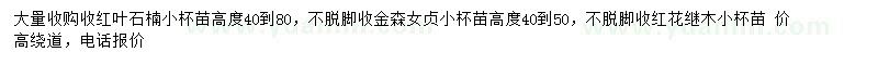 求购红叶石楠、金森女贞、红花继木小苗