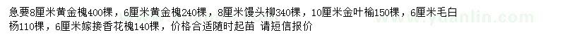 求购黄金槐、馒头柳、金叶榆等