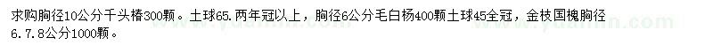 求购千头椿、毛白杨、金枝国槐