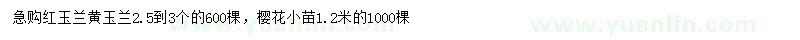 求购红玉兰、黄玉兰、樱花小苗