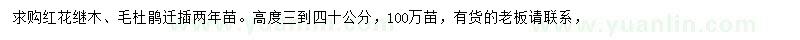 求购高30-40公分红花继木、毛杜鹃