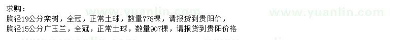 求购胸径19公分栾树、胸径15公分广玉兰