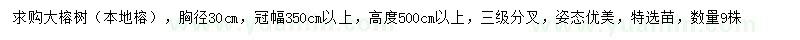 求购胸径30公分大榕树