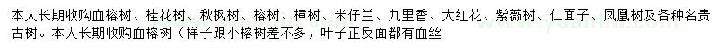 求购血榕树、桂花树、秋枫树等