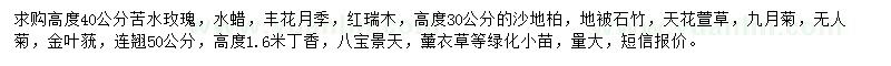 求购苦水玫瑰、水蜡、丰花月季等