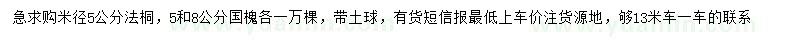求购米径5公分法桐、5、8公分国槐