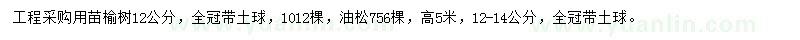 求购12公分榆树、高5米油松