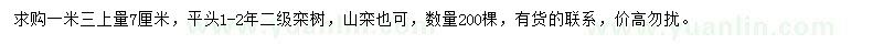 求购1.3米量7公分二级栾树