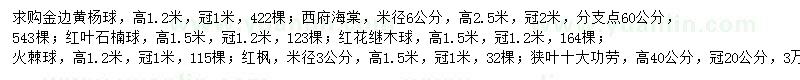 求购金边黄杨球、西府海棠、狭叶十大功劳等