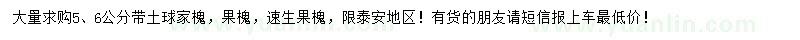 求购5、6公分家槐