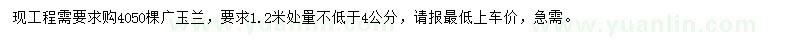 求购1.2米处量4公分广玉兰