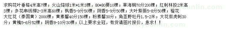 求购花叶垂榕、草海桐、黄槐等