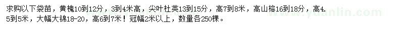 求购黄槐、尖叶杜英、高山榕等