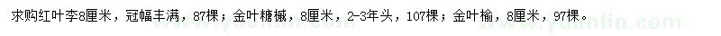 求购红叶李、金叶糖槭、金叶榆