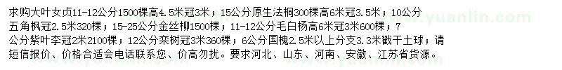 求购大叶女贞、原生法桐、五角枫等