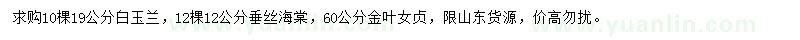 求购白玉兰、垂丝海棠、金叶女贞