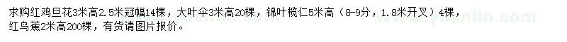 求购红鸡旦花、大叶伞、锦叶榄仁等