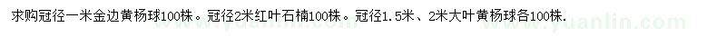 求购金边黄杨球、红叶石楠、大叶黄杨球