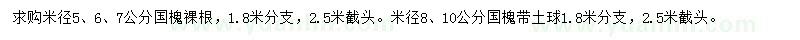 求购米径5、6、7、8、10公分国槐