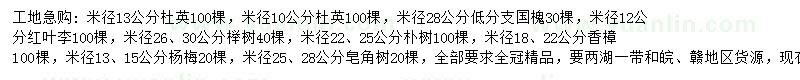 求购杜英、国槐、红叶李等