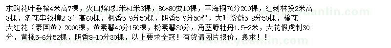 求购花叶垂榕、火山熔球、草海桐等