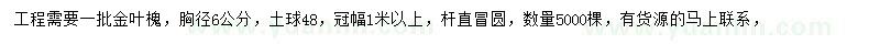 求购胸径6公分金叶槐