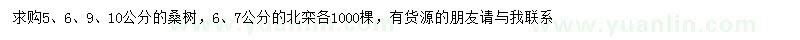 求购5、6、9、10公分桑树、6、7公分北栾