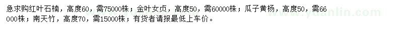 求购红叶石楠、金叶女贞、瓜子黄杨等