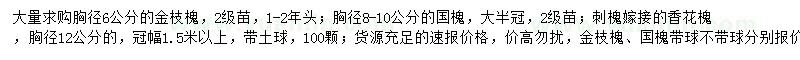 求购金枝槐、国槐、嫁接香花槐