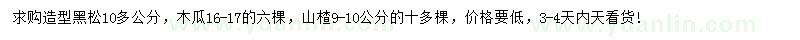 求购造型黑松、木瓜、山楂