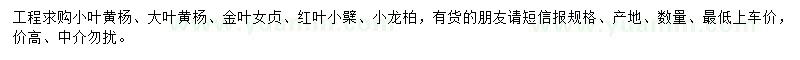 求购小叶黄杨、大叶黄杨、金叶女贞等