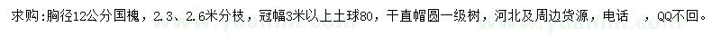 求购胸径12公分国槐