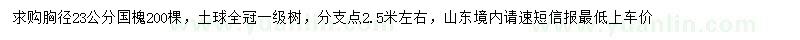 求购胸径23公分国槐