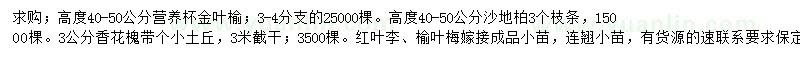 求购金叶榆、沙地柏、香花槐等