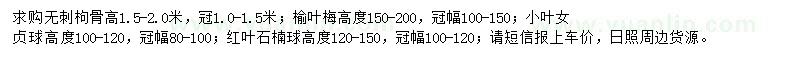 求购无刺枸骨、榆叶梅、小叶女贞球等