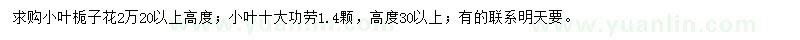 求购小叶栀子花、小叶十大功劳