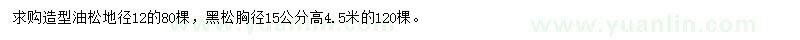 求购造型油松、黑松