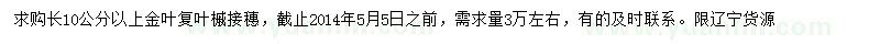 求购长10公分以上金叶复叶槭接穗