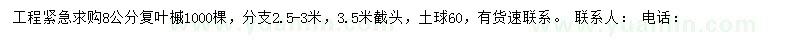 求购8公分复叶槭