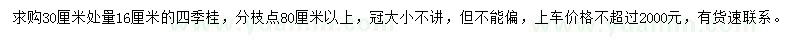 求购30公分处量16公分四季桂