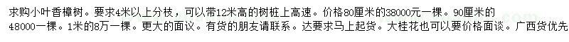 求购80、90、100公分小叶香樟树