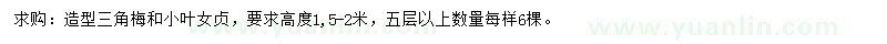 求购高1.5-2米三角梅、小叶女贞